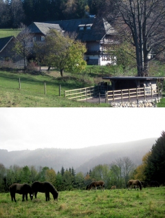 freyelhof.de