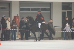 feyelhof.de