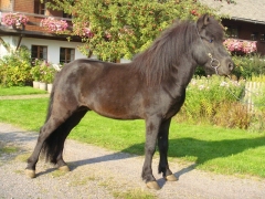 feyelhof.de