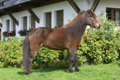 feyelhof.de