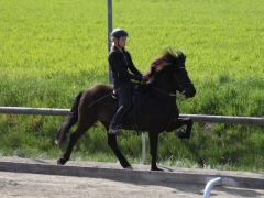 feyelhof.de