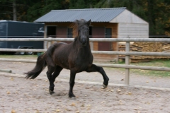 feyelhof.de